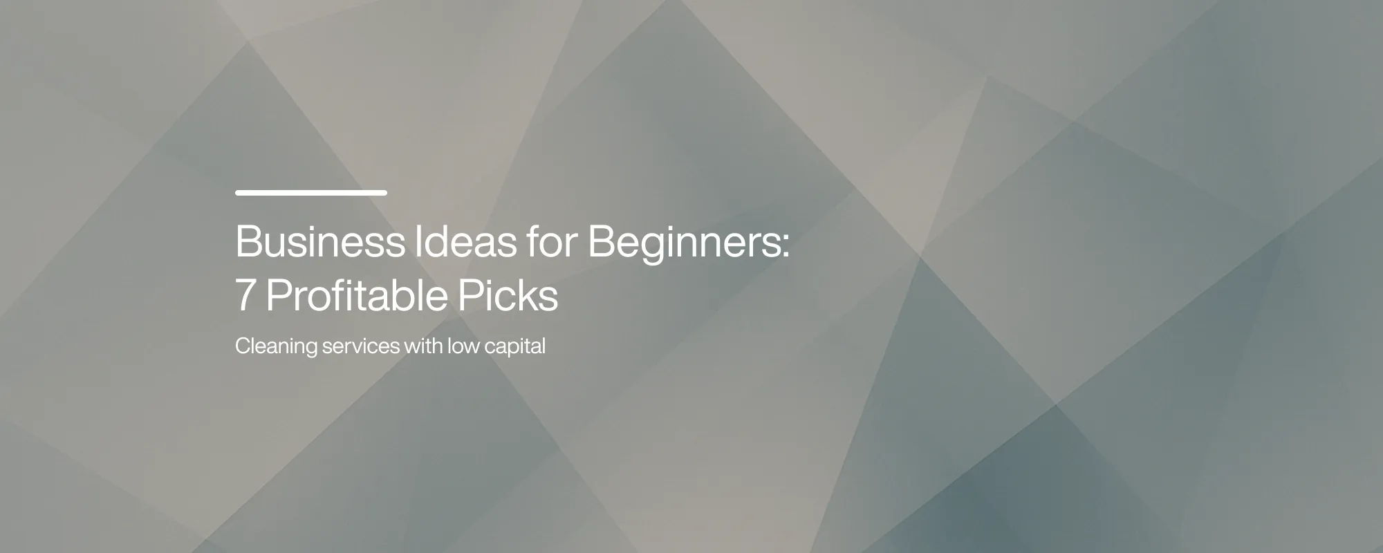Cover image for Business Ideas for Beginners: 7 Profitable Picks