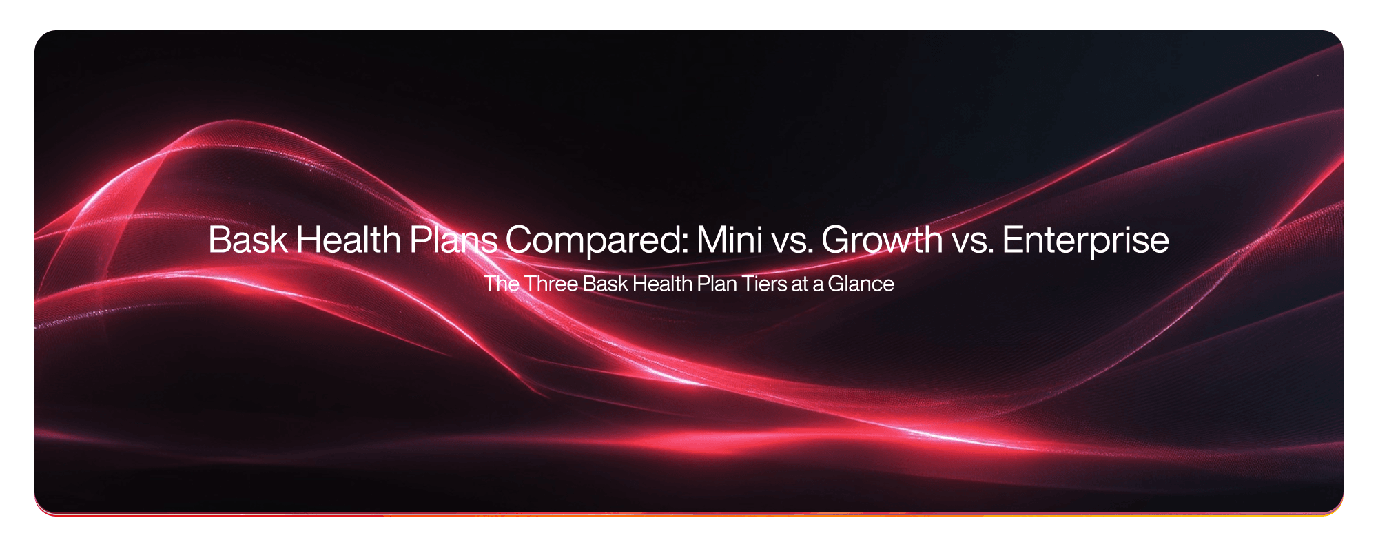 Cover image for Bask Health Plans Compared: Mini vs. Growth vs. Enterprise